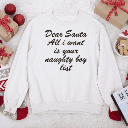 Dear Santa Shirt Naughty or Nice List Xmas Party Tee Dear Santa All I Want Funny Holiday Shirt Naughty List Shirts