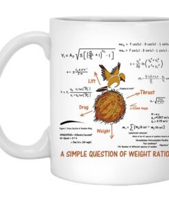 A Simple Question Of Weight Ratios Funny Math Teacher Mug.jpg