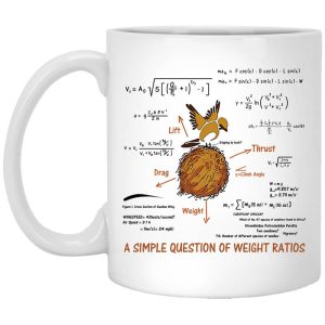 A Simple Question Of Weight Ratios Funny Math Teacher Mug.jpg