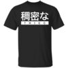 Aesthetic Japanese Thicc T Shirt.jpg