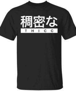 Aesthetic Japanese Thicc T Shirt.jpg