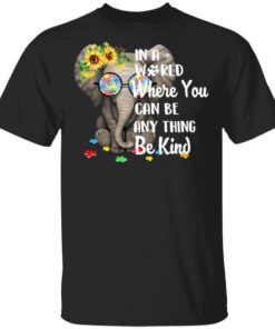 Autism In A World Where You Can Be Anything Be Kind T Shirt.jpg