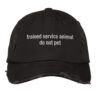 Buck Lele Trained Service Animal Do Not Pet Cap 5.jpg