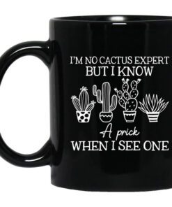 Im No Cactus Expert But I Know A Prick When I See One Mug.jpg