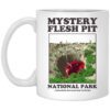 Mystery Flesh Pit National Park A Disaster Reclamation Venture Mug.jpg