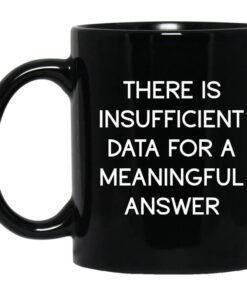 There Is Insufficient Data For A Meaningful Answer Mug.jpg