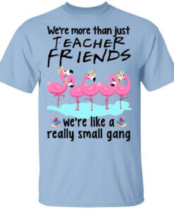 Were More Than Just Teacher Friends Flamingo T Shirt.jpg