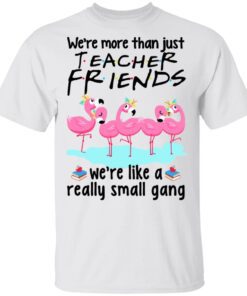 We Re More Than Just Teacher Friends Flamingo T Shirt 1.jpg