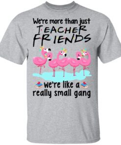 We Re More Than Just Teacher Friends Flamingo T Shirt 2.jpg