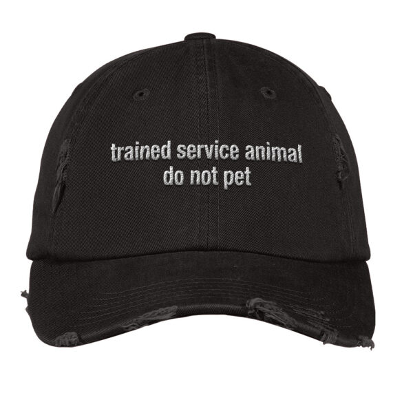 Buck lele trained service animal do not pet cap 5