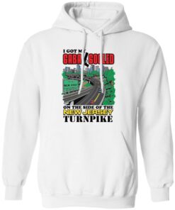 I Got My Gaba Gooled On The Side Of The New Jersey Turnpike Shirt 10 redirect01152025020144