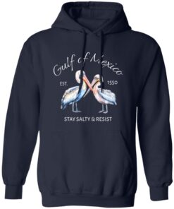 Pelican Gulf Of Mexico Print EST 1550 Stay Salty And Resist T-Shirt 10 redirect08032025010825 1