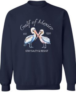 Pelican Gulf Of Mexico Print EST 1550 Stay Salty And Resist T-Shirt 12 redirect08032025010826 1