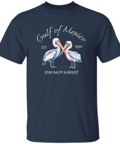Pelican Gulf Of Mexico Print EST 1550 Stay Salty And Resist T-Shirt 13 redirect08032025010826 2