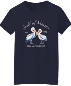 Pelican Gulf Of Mexico Print EST 1550 Stay Salty And Resist T-Shirt 15 redirect08032025010827 1