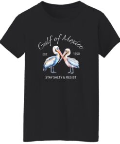 Pelican Gulf Of Mexico Print EST 1550 Stay Salty And Resist T-Shirt 14 redirect08032025010827