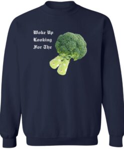 redirect08042025230851 1