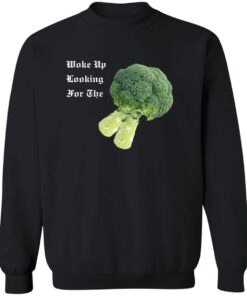 redirect08042025230851