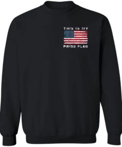 This Is My Pride Flag Shirt 13 redirect08292025060833 4