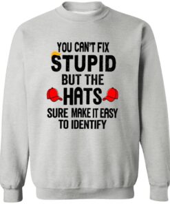 You Can’t Fix Stupid But The Hats Sure Make It Easy To Identify Anti Trump Shirt 11 redirect09092025020936 2