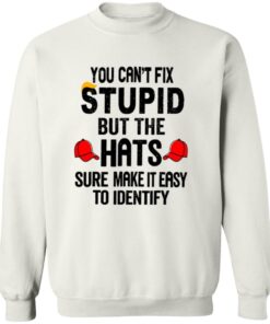 You Can’t Fix Stupid But The Hats Sure Make It Easy To Identify Anti Trump Shirt 12 redirect09092025020936 3