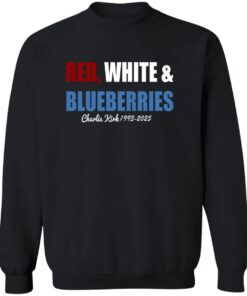 redirect09242025230925 2