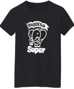 redirect10082025231043 6