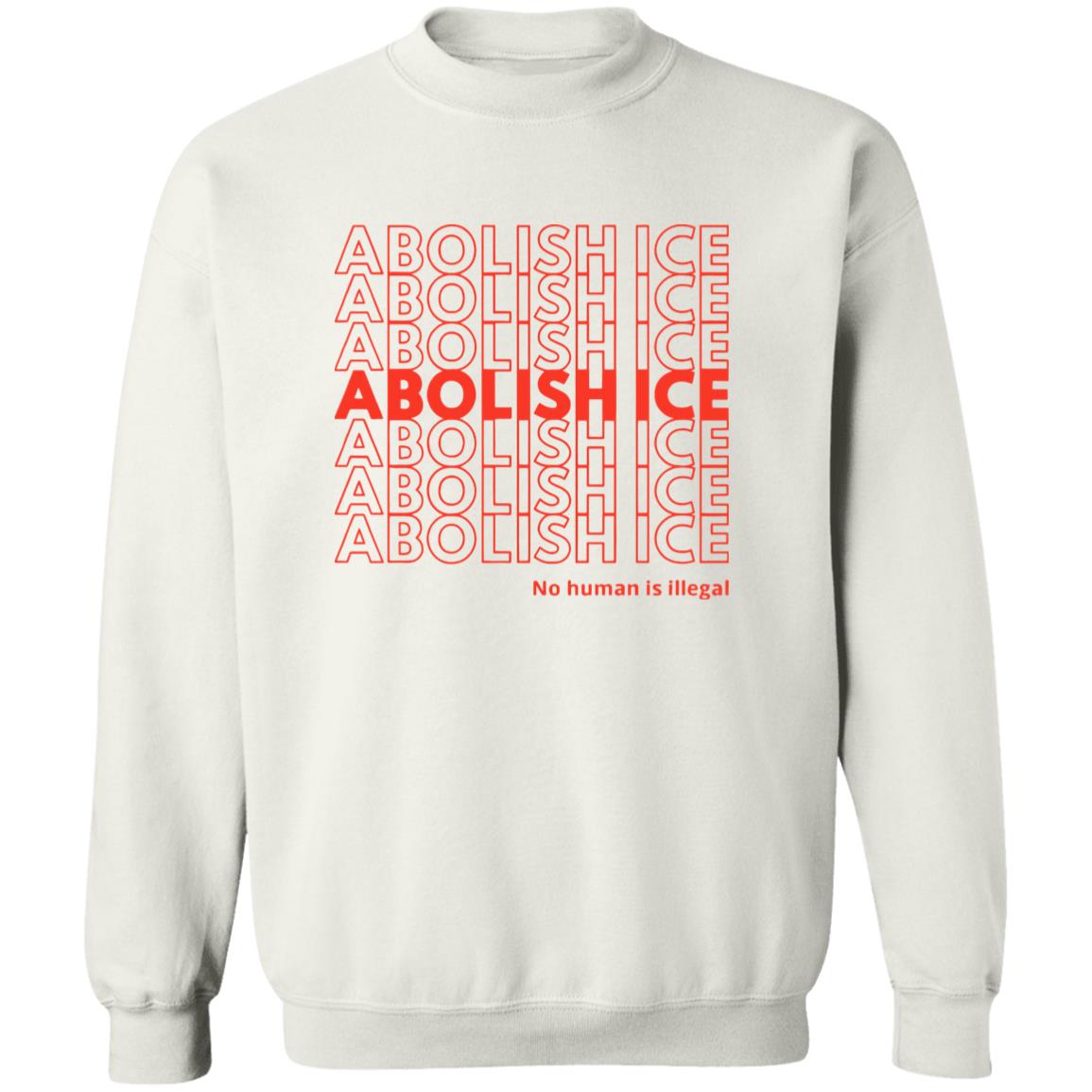 Abolish ICE No Human Is Illegal Shirt 6 redirect10102025011057